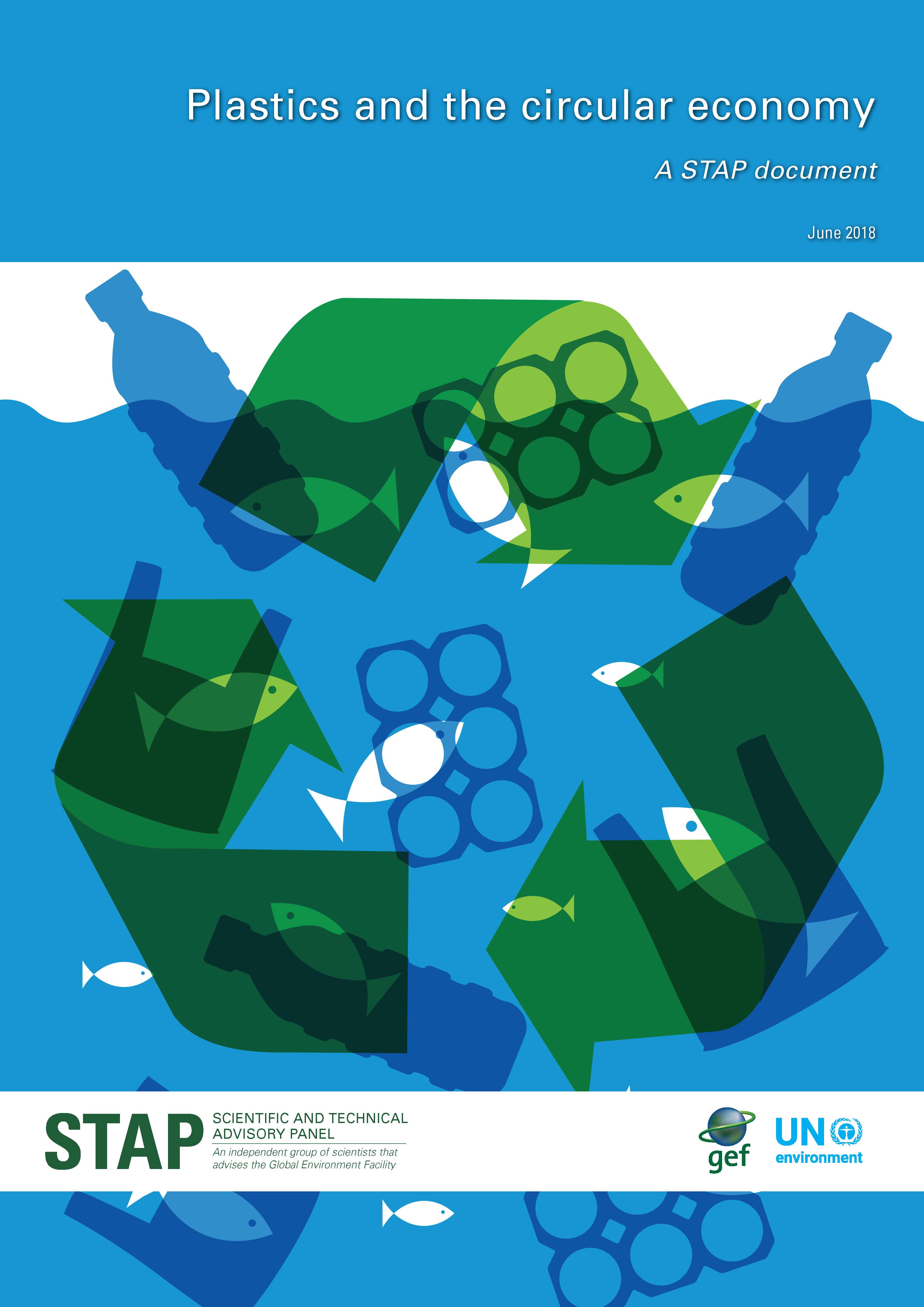 Plastics And The Circular Economy Scientific And Technical Advisory